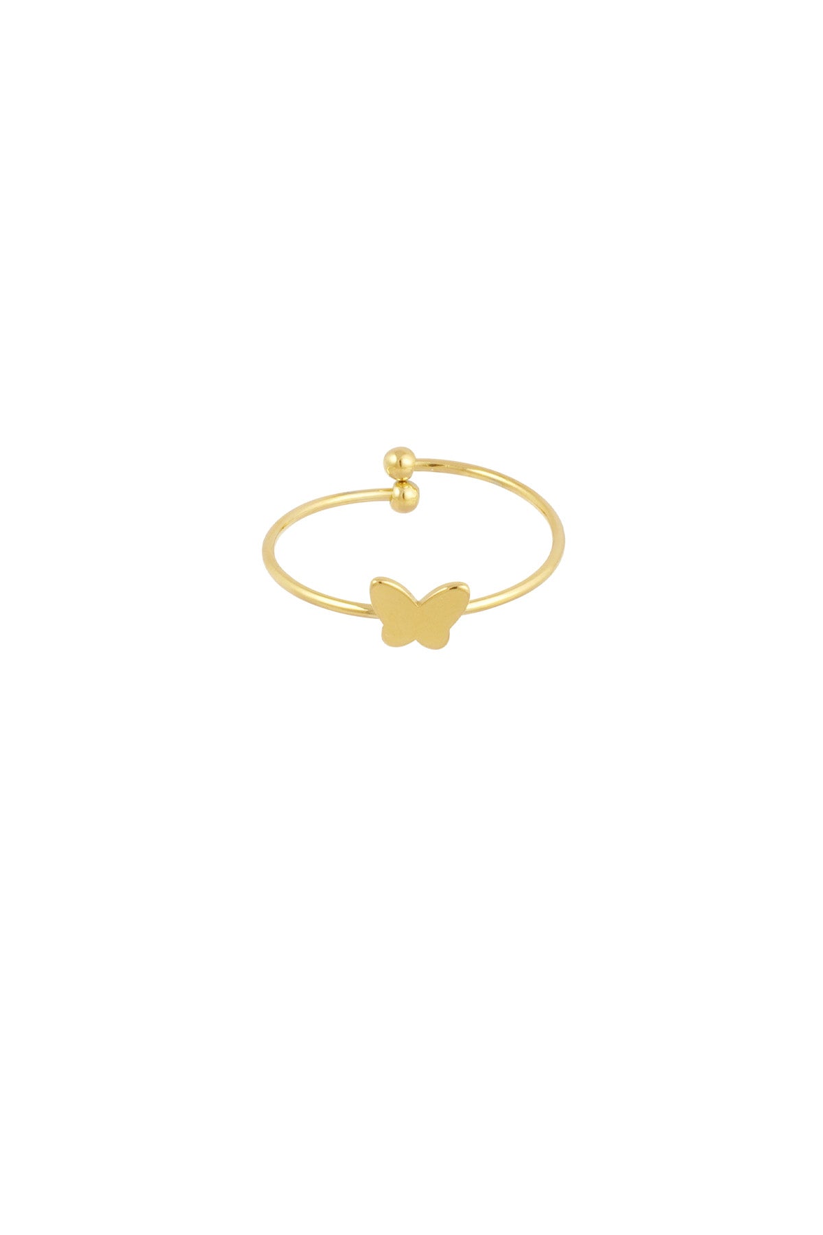 Tiny Butterfly