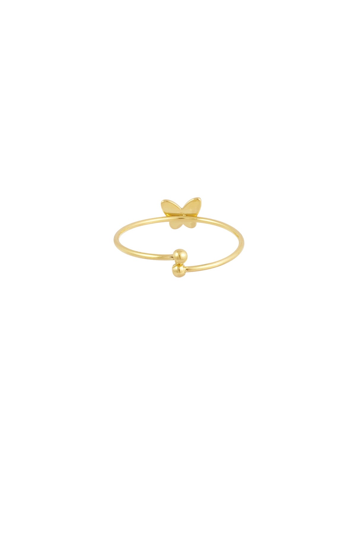 Tiny Butterfly